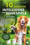 10 Minuten Intelligenz- und Denkspiele für Hunde
